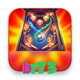 br73