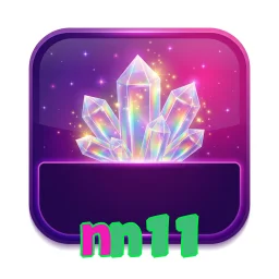 nn11